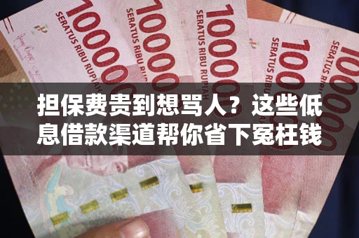 济南担保费贵到想骂人？这些低息借款渠道帮你省下冤枉钱