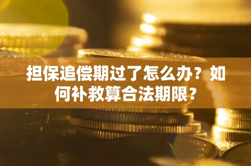 济南担保追偿期过了怎么办？如何补救算合法期限？