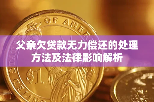 济南父亲欠贷款无力偿还的处理方法及法律影响解析